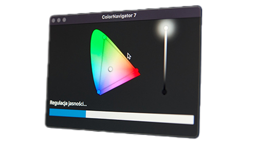 Monitor EIZO ColorEdge CG319X