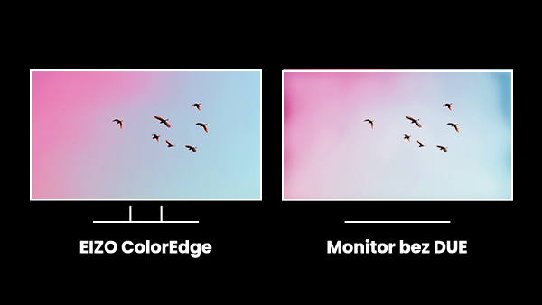 Monitor EIZO ColorEdge CG319X