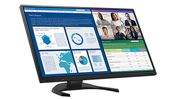 Monitor EIZO FlexScan EV2460 biały
