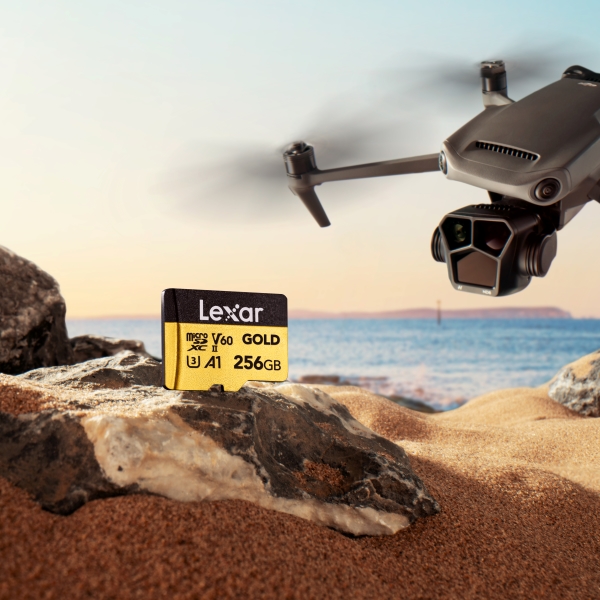 Karta pamięci Lexar microSDXC GOLD UHS-II/C10/A1/U3 V60 128GB