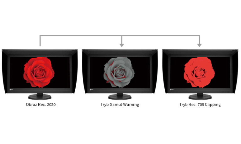 Monitor EIZO ColorEdge CG319X
