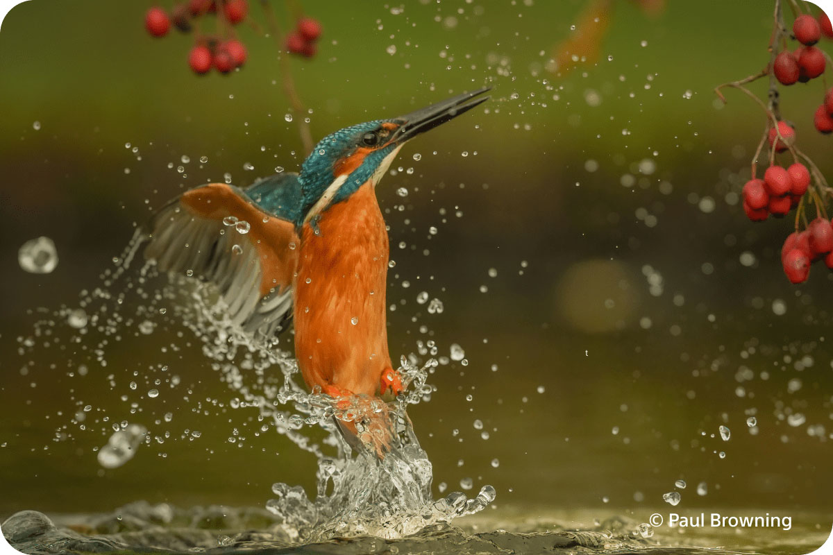 Aparat cyfrowy Sony A7 V body (ILCE7M5B.CEC)