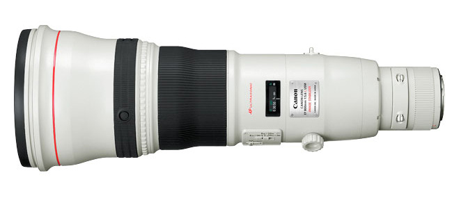 Canon 800 mm f/5.6 L EF IS USM - Dostawa GRATIS!