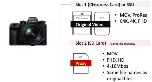 Aparat cyfrowy Panasonic Lumix S1RII body