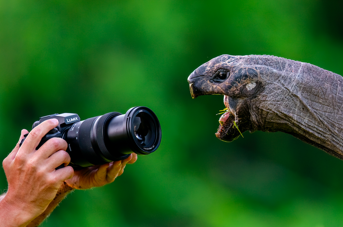 Aparat cyfrowy Panasonic Lumix S1RII body