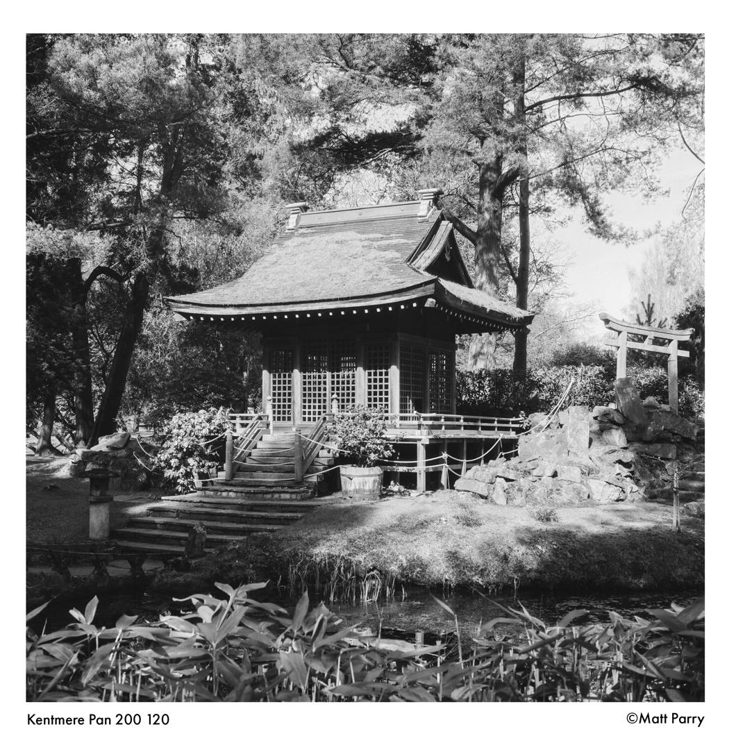 Film Kentmere 200 135/36